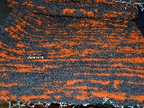 Chodnik bawełniany ręcznie tkany, szaro-pomarańczowy 65x120 cm (k-60)