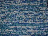 Hand -woven cotton carpet ecru-light-dark blue 50x100